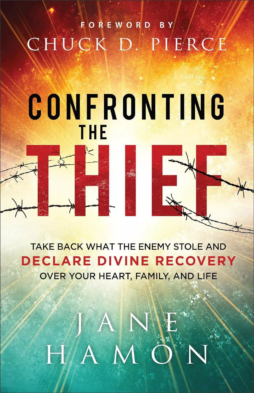 Confronting the Thief (Jane Hamon)