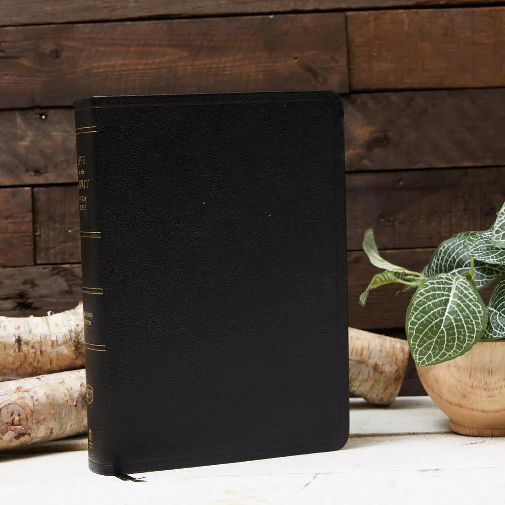 KJV Life in the Spirit Study Bible