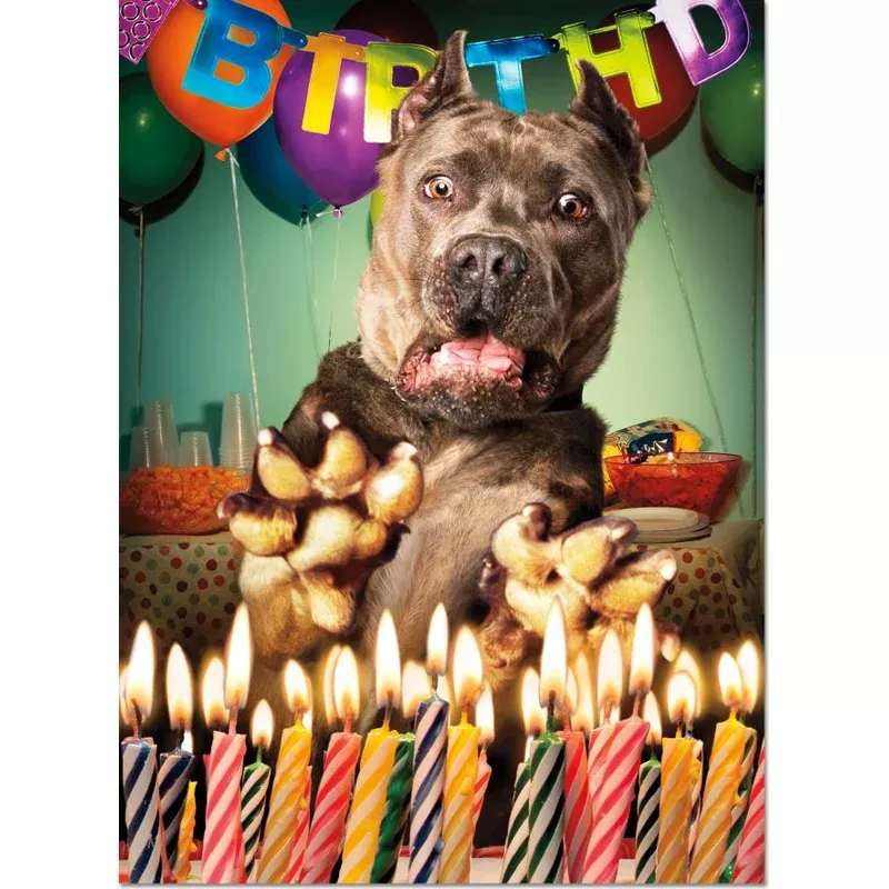 Motion Suprise Dog Birthday Card