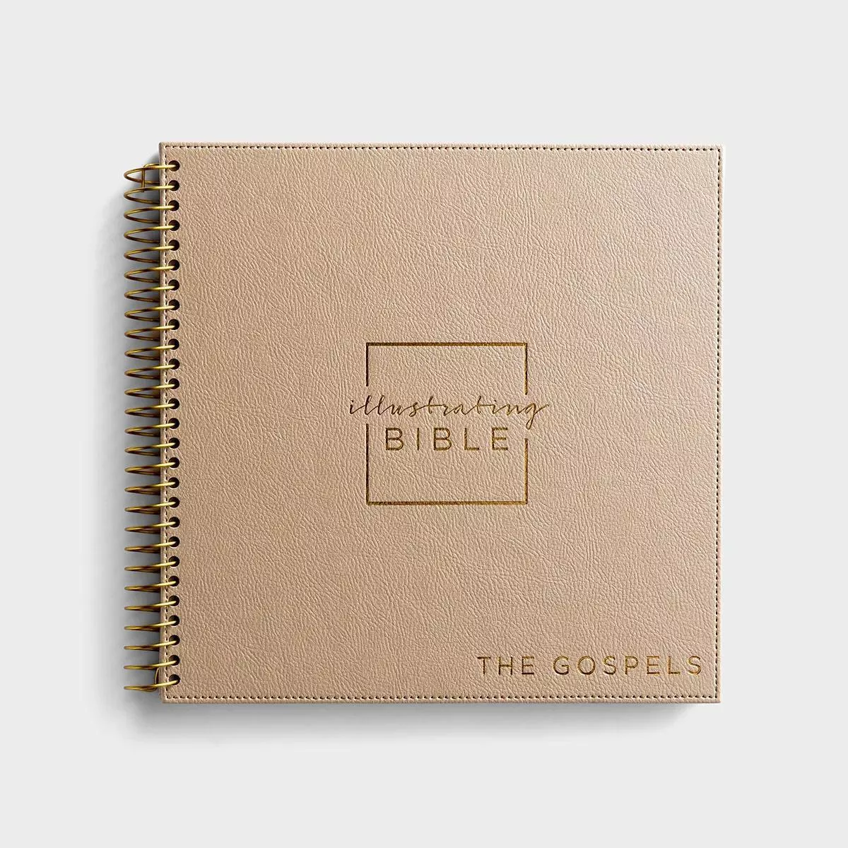 NIV – Illustrating Bible – The Gospels