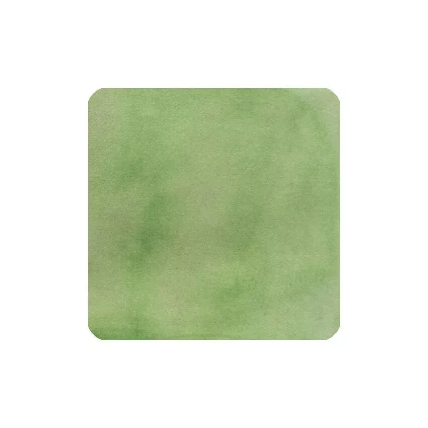 Paju (Harmony) - 2ml